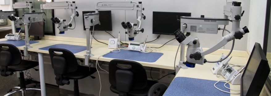 Diploma de Especialización en Endodoncia: Aplicaciones y uso del microscopio quirúrgico en endodoncia